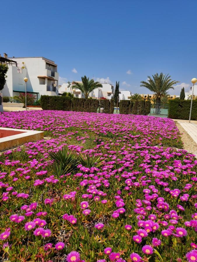 Apartamento Naturista En Primera Linea! Vera Eksteriør bilde
